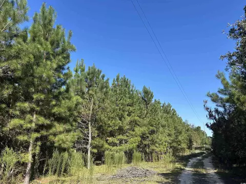 tbd Oakland Rd, Hamer, SC 29547