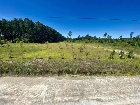 1259 Cheyenne Rd, Conway, SC 29526