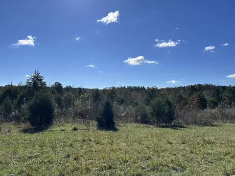 tbd River Fork Rd, Waterloo, SC 29653 photo 1