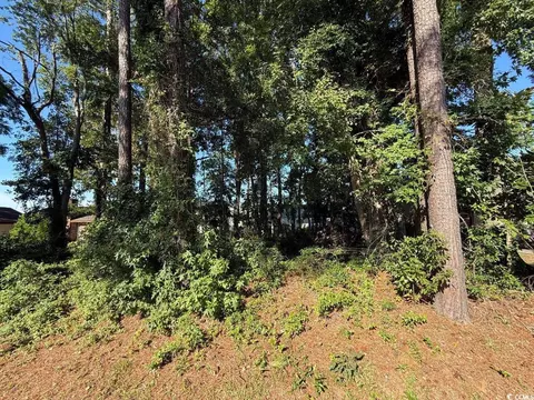 lot547 Circle Dr, Surfside Beach, SC 29575 photo 6