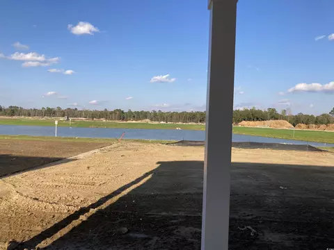 View/Area - 146 River Birch Dr, Loris, SC 29569 photo 3 of 4