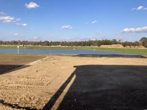 View/Area - 146 River Birch Dr, Loris, SC 29569 photo 4 of 4