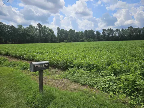 36 4acres-tbd Black Creek Rd, Nichols, SC 29581