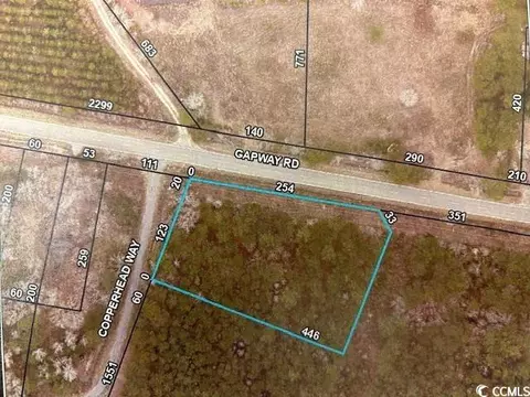 12155 Gapway Rd, Andrews, SC 29510