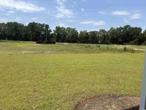 Other - 533 Briarfield Loop, Conway, SC 29527 photo 9 of 12