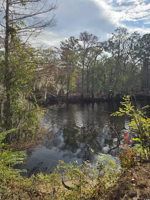 View/Area - 520 Honeyhill Loop, Conway, SC 29526 photo 1 of 5