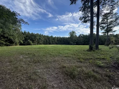 tbd Dead Ridge Rd, Nichols, SC 29581