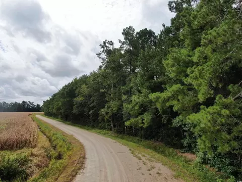tbd Shelley Path, Loris, SC 29569 photo 10