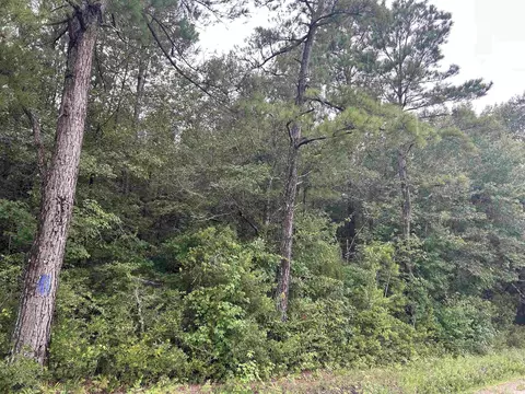 tbd Shelley Path, Loris, SC 29569 photo 19