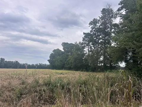 tbd Shelley Path, Loris, SC 29569 photo 13