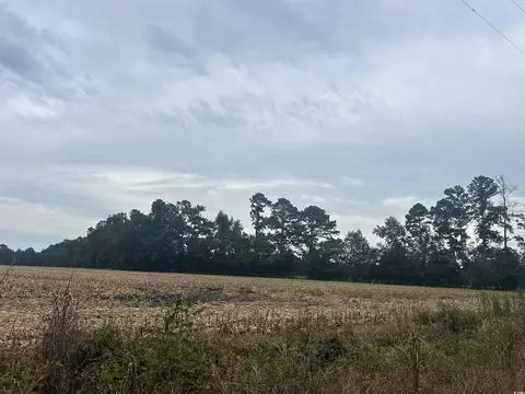 tbd Shelley Path, Loris, SC 29569 photo 12