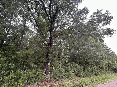 tbd Shelley Path, Loris, SC 29569 photo 20