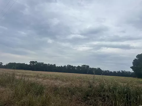 tbd Shelley Path, Loris, SC 29569 photo 14
