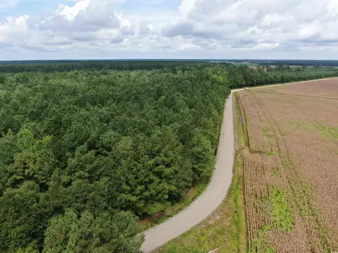 tbd Shelley Path, Loris, SC 29569 photo 7