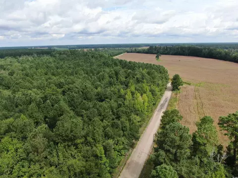 tbd Shelley Path, Loris, SC 29569 photo 6