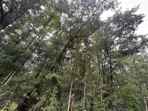 tbd Shelley Path, Loris, SC 29569 photo 16