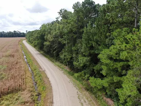 tbd Shelley Path, Loris, SC 29569 photo 9