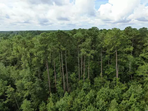 tbd Shelley Path, Loris, SC 29569 photo 8