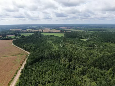 tbd Shelley Path, Loris, SC 29569 photo 3