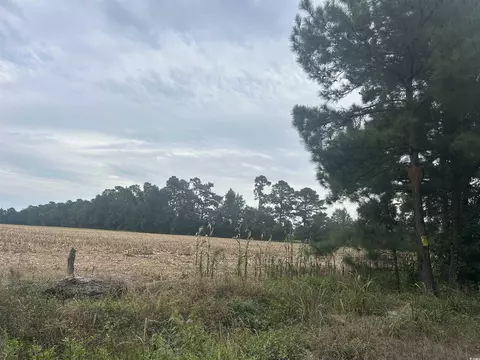 tbd Shelley Path, Loris, SC 29569 photo 11