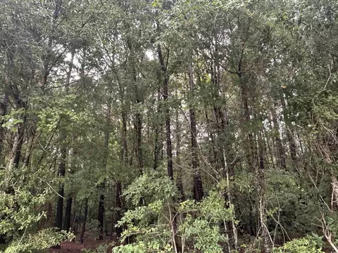 tbd Shelley Path, Loris, SC 29569 photo 18