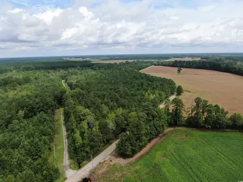 tbd Shelley Path, Loris, SC 29569 photo 4