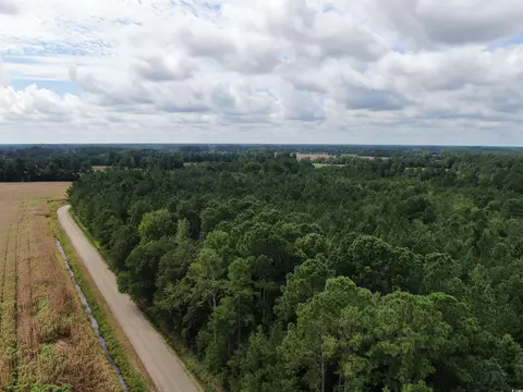 tbd Shelley Path, Loris, SC 29569 photo 2