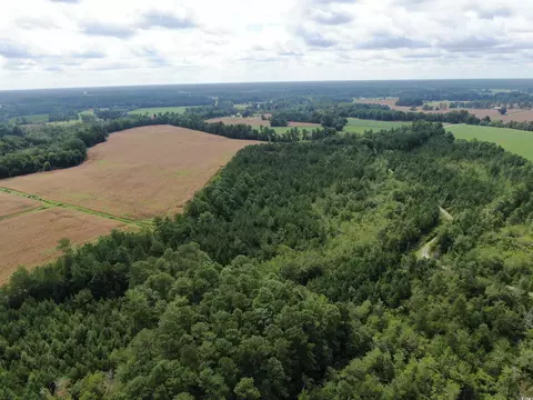tbd Shelley Path, Loris, SC 29569 photo 5