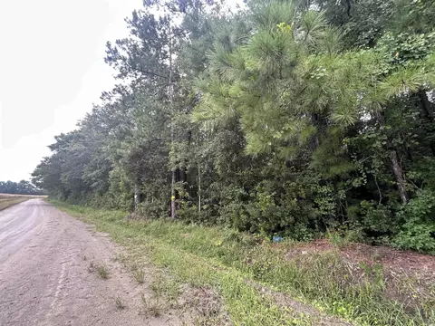 tbd Shelley Path, Loris, SC 29569 photo 21