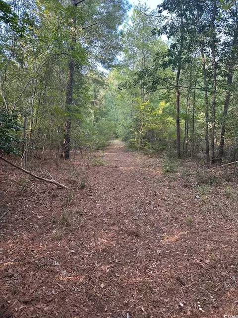 tbd Godwin Prince Ct, Loris, SC 29569 photo 3