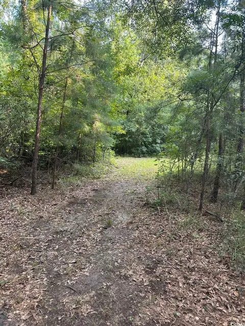 tbd Godwin Prince Ct, Loris, SC 29569 photo 2