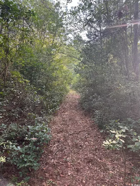 tbd Godwin Prince Ct, Loris, SC 29569 photo 4