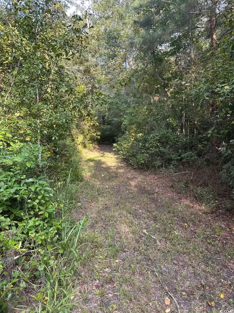 tbd Godwin Prince Ct, Loris, SC 29569 photo 5