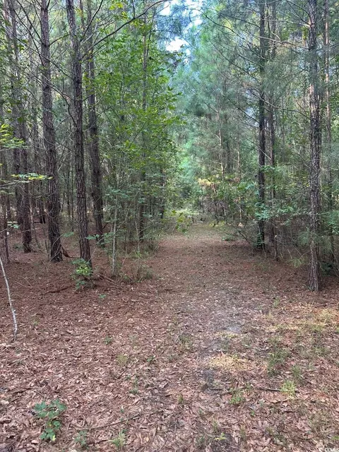 tbd Godwin Prince Ct, Loris, SC 29569