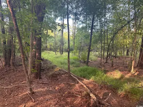 tbd Godwin Prince Ct, Loris, SC 29569