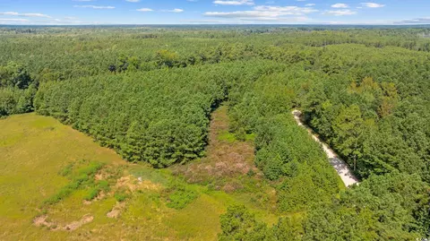 lot1 Womack Rd, Nichols, SC 29581
