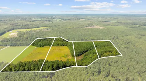 lot4 Womack Rd, Nichols, SC 29581