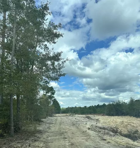 3369 Highway 430, Nichols, SC 29581