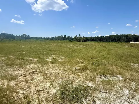 Albatross Rd, Georgetown, SC 29440 photo 3