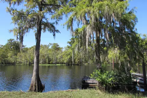 956 Jackson Bluff Rd, Conway, SC 29526