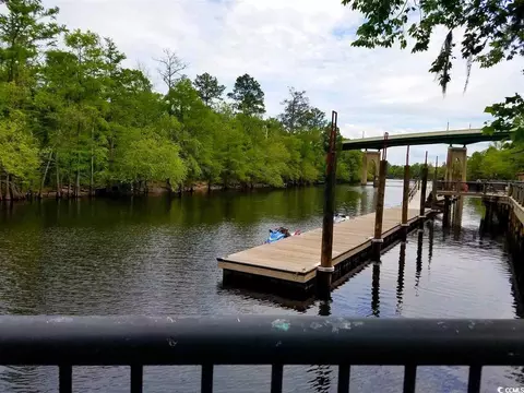 View/Area - 302 Kiskadee Loop #2F, Conway, SC 29526 photo 6 of 8