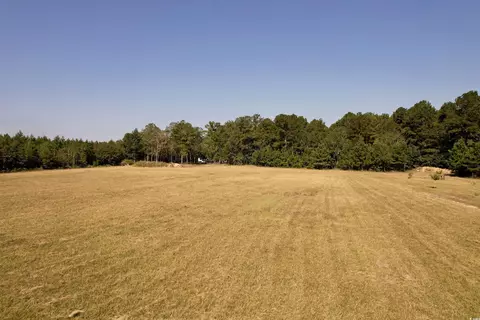 28 Acres-tbd Frank Cribb Rd, Georgetown, SC 29440