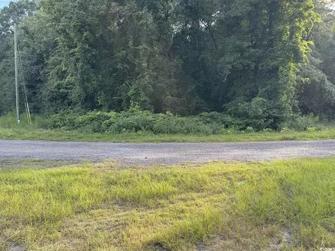 tbd Griffins Landing Rd, Nichols, SC 29581