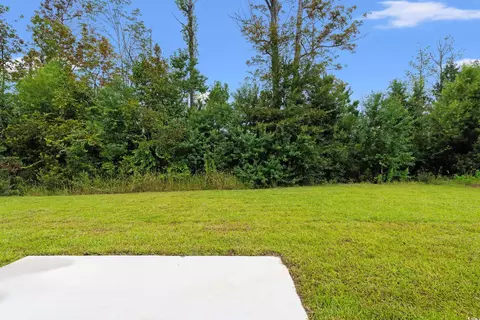 Exterior - 2827 Biscane Ct, Conway, SC 29527 photo 4 of 5