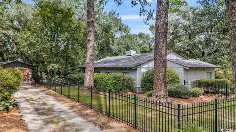 910 Willowbank Rd, Georgetown, SC 29440 photo 11