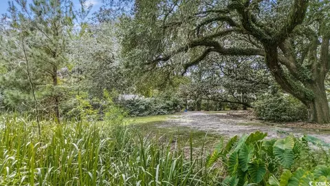 910 Willowbank Rd, Georgetown, SC 29440 photo 15