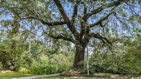 910 Willowbank Rd, Georgetown, SC 29440 photo 14