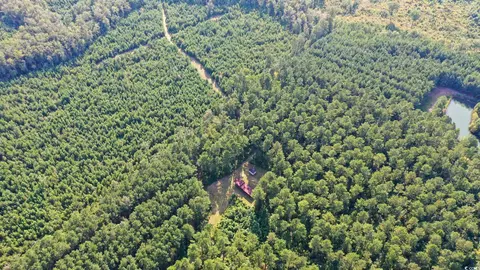 Powell Loop, Andrews, SC 29510 photo 3
