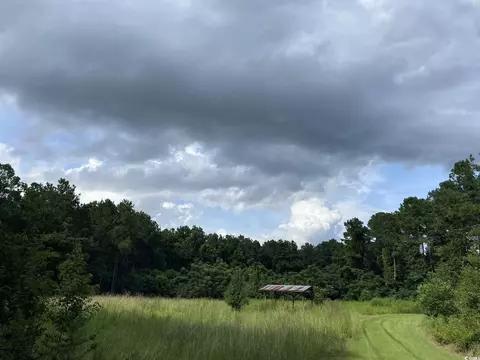 Powell Loop, Andrews, SC 29510 photo 13