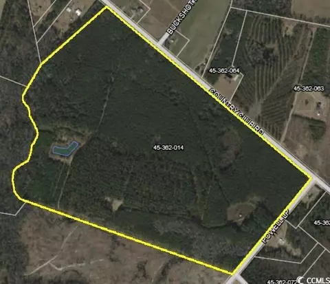 Powell Loop, Andrews, SC 29510 photo 12